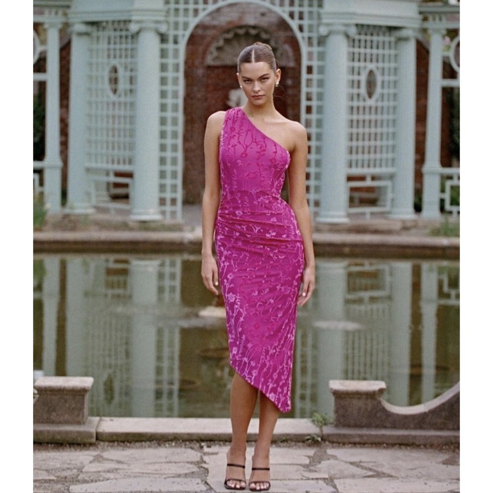 Hutch Anthropologie M Dress Monty One Shoulder Velvet Floral Pink Garden Midi